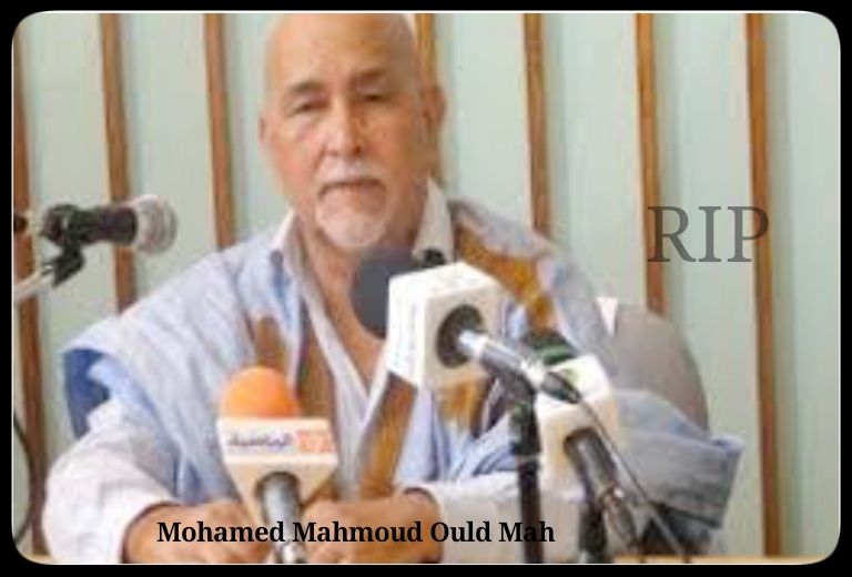 الدكتور محمد محمود ولد اماه